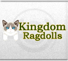 Kingdom Ragdolls